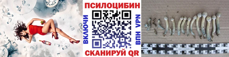 Псилоцибиновые грибы мухоморы  кракен ONION  Магас 