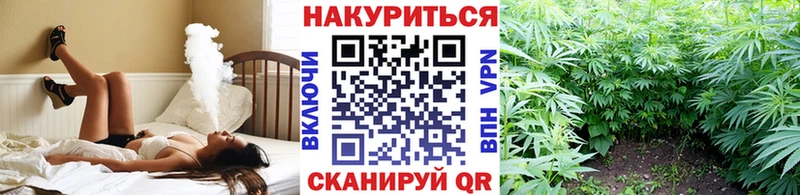 купить наркотики цена  Магас  Конопля ГИДРОПОН 